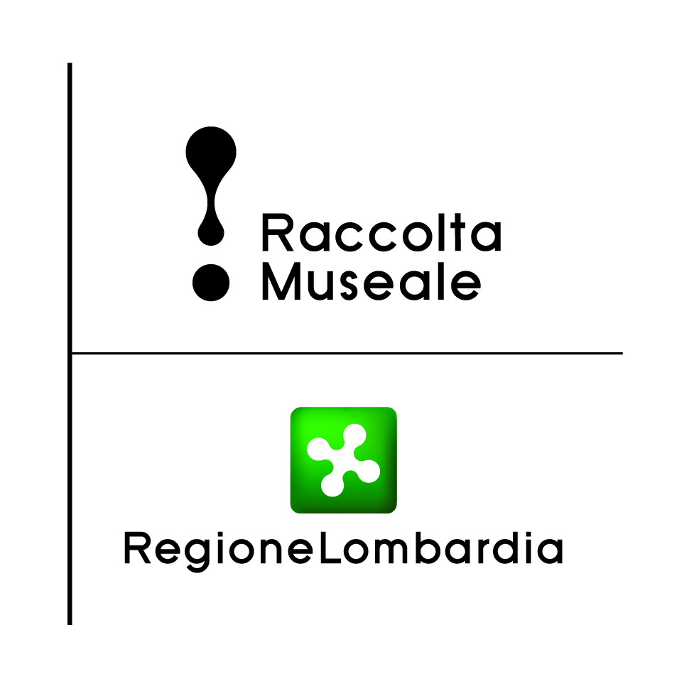 RaccoltaMuseale_colori verticale