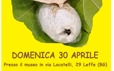 Festa del tessile 2023