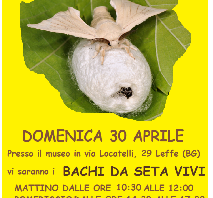 Festa del tessile 2023